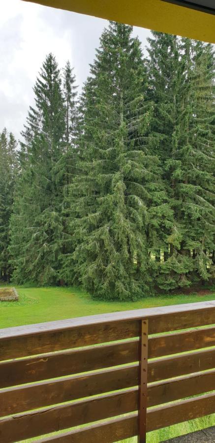 Penzion na Mýtinách Harrachov Exterior foto