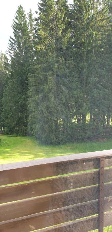 Penzion na Mýtinách Harrachov Exterior foto